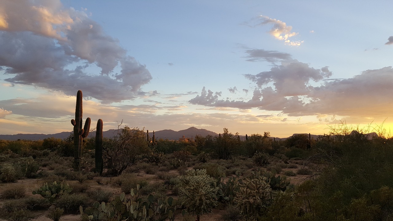 Ultimate 6-Day Tucson Adventure with Local Flavors